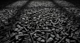sculpture reflects doris salcedo