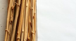 comparison of ancient writing materials