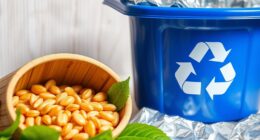 comparison of eco friendly packaging