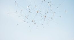 floating art installations