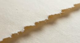 elegant torn paper edges