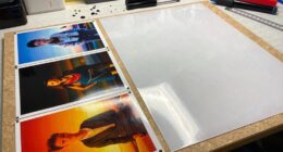 protecting and displaying documents