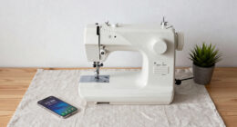 China investor gobbles up 120-year-old German sewing machine maker