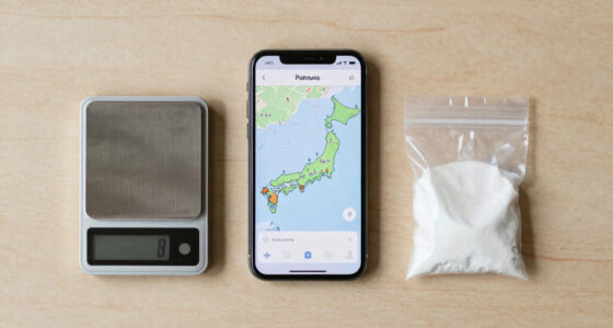 Japan part of fentanyl-smuggling route, US official says